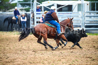 GoulburnCampdraft2017_0188