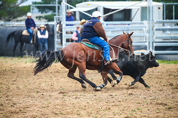 GoulburnCampdraft2017_0188