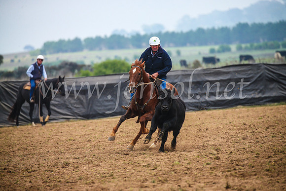 GoulburnCampdraft2017_0234