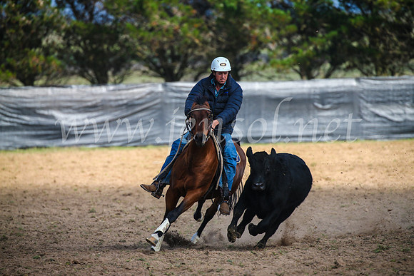 GoulburnCampdraft2017_2447