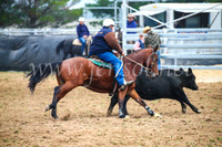 GoulburnCampdraft2017_0187