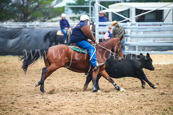 GoulburnCampdraft2017_0187