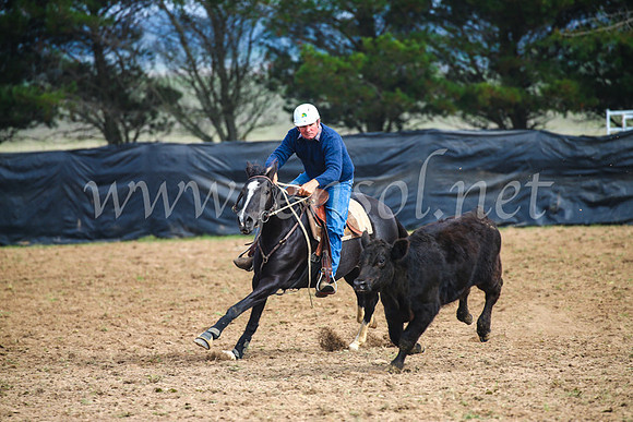 GoulburnCampdraft2017_0349