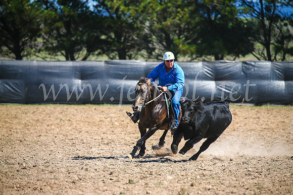 GoulburnCampdraft2017_3136