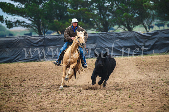 GoulburnCampdraft2017_0278