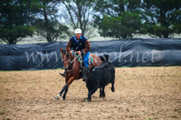 GoulburnCampdraft2017_0168