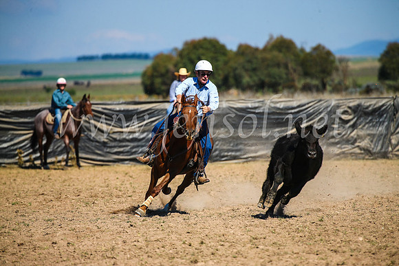 GoulburnCampdraft2017_3093