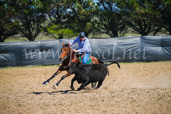 GoulburnCampdraft2017_2953