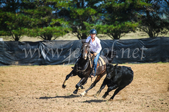 GoulburnCampdraft2017_2497