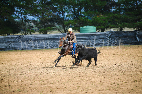 GoulburnCampdraft2017_2380