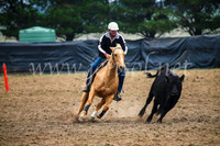 GoulburnCampdraft2017_0246