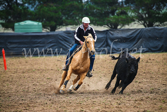 GoulburnCampdraft2017_0246