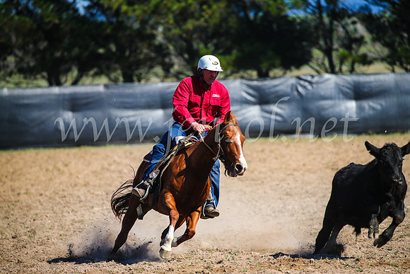 GoulburnCampdraft2017_3025
