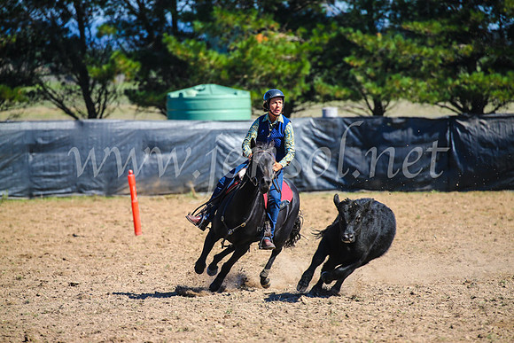 GoulburnCampdraft2017_2933