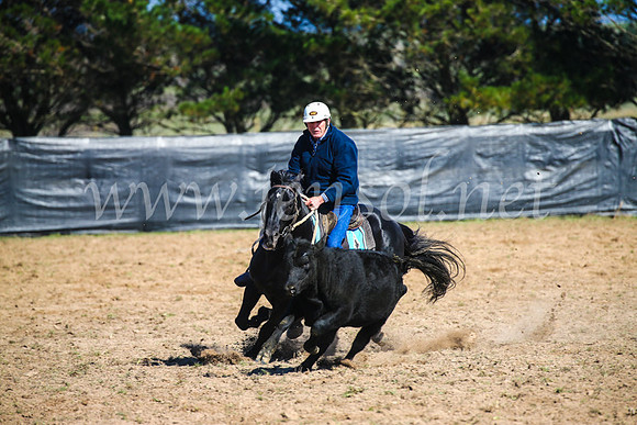 GoulburnCampdraft2017_2659