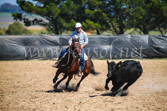 GoulburnCampdraft2017_2996