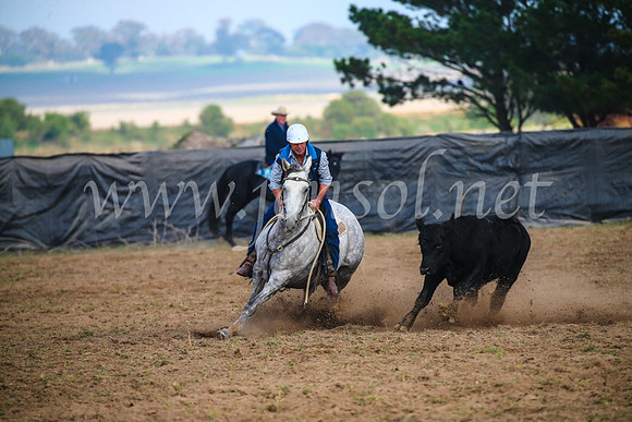 GoulburnCampdraft2017_0334