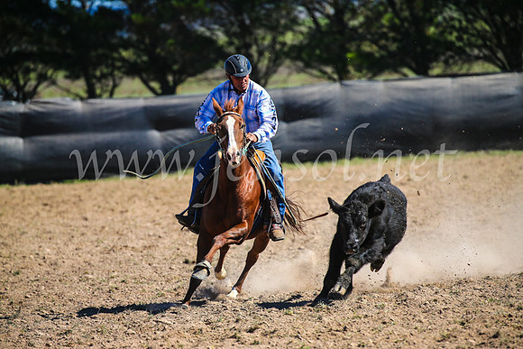 GoulburnCampdraft2017_3462