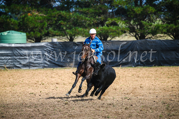 GoulburnCampdraft2017_2418