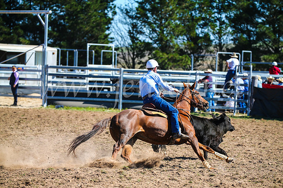 GoulburnCampdraft2017_3070