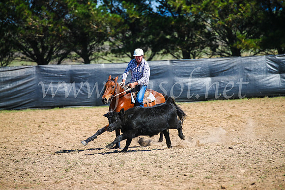 GoulburnCampdraft2017_3039