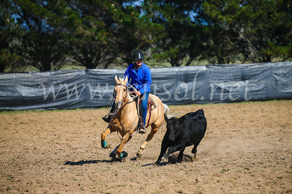 GoulburnCampdraft2017_2616