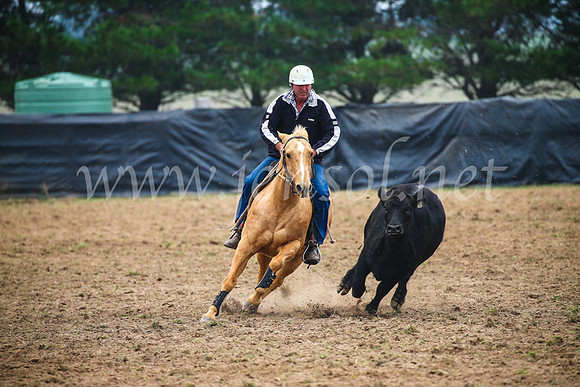 GoulburnCampdraft2017_0250