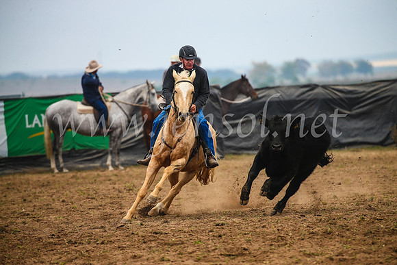 GoulburnCampdraft2017_0123