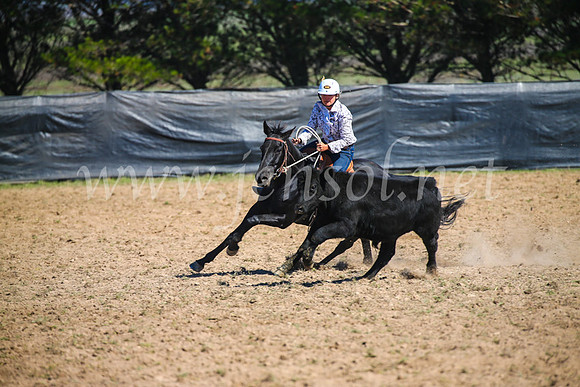 GoulburnCampdraft2017_2877