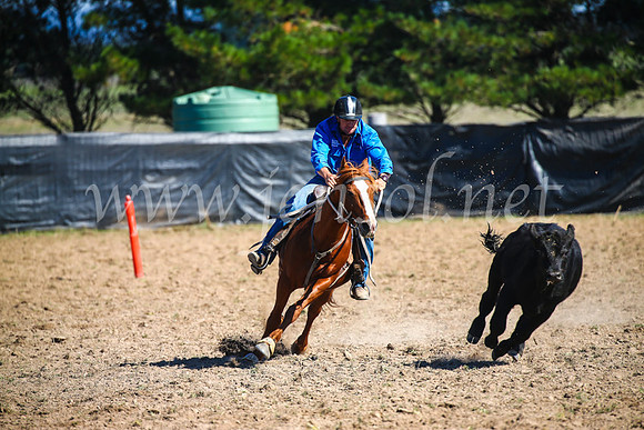 GoulburnCampdraft2017_2892