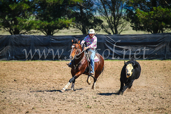 GoulburnCampdraft2017_2755