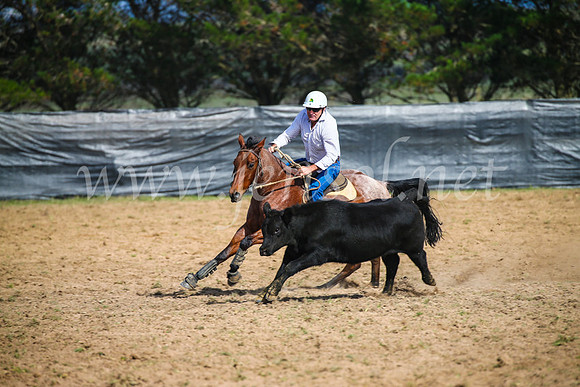 GoulburnCampdraft2017_2433