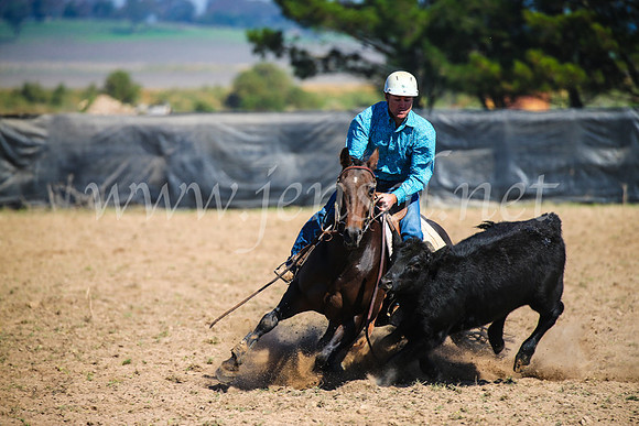 GoulburnCampdraft2017_2923
