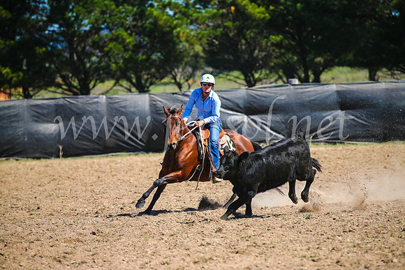 GoulburnCampdraft2017_3231