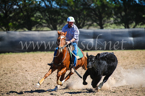 GoulburnCampdraft2017_3318