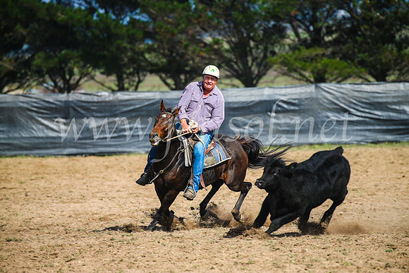 GoulburnCampdraft2017_2495