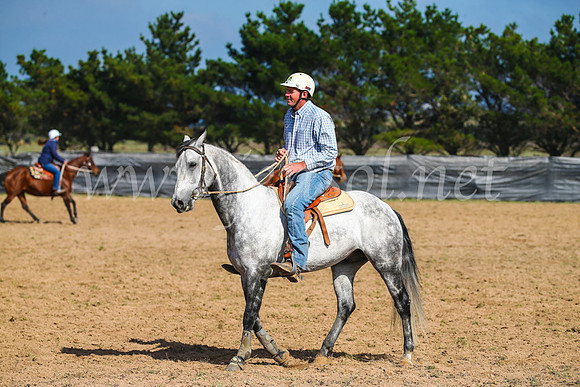 GoulburnCampdraft2017_2535