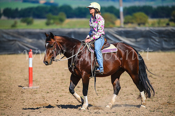 GoulburnCampdraft2017_2814