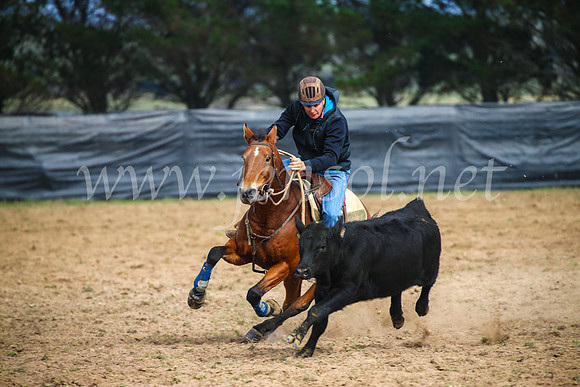 GoulburnCampdraft2017_0373