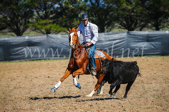 GoulburnCampdraft2017_2712
