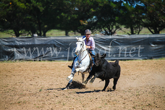 GoulburnCampdraft2017_2982