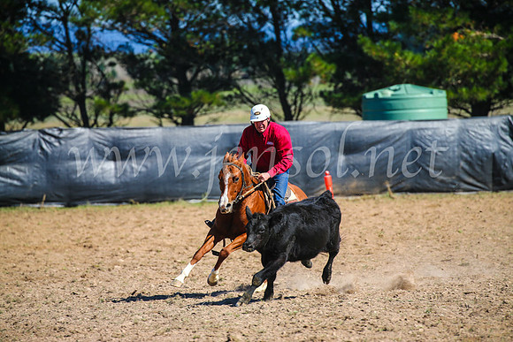 GoulburnCampdraft2017_3018