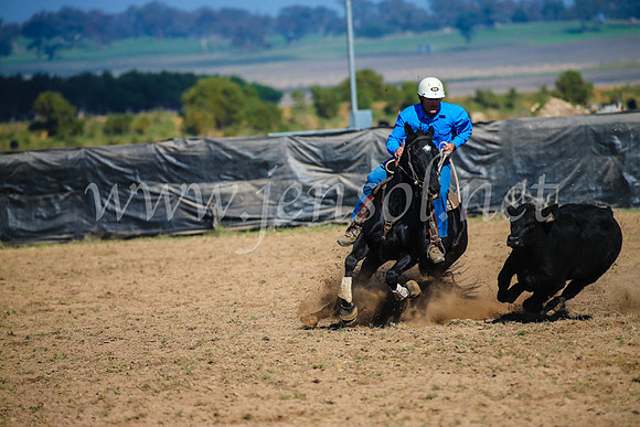 GoulburnCampdraft2017_2603