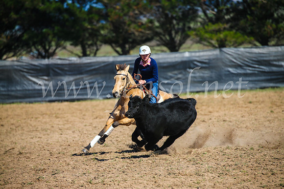 GoulburnCampdraft2017_2732