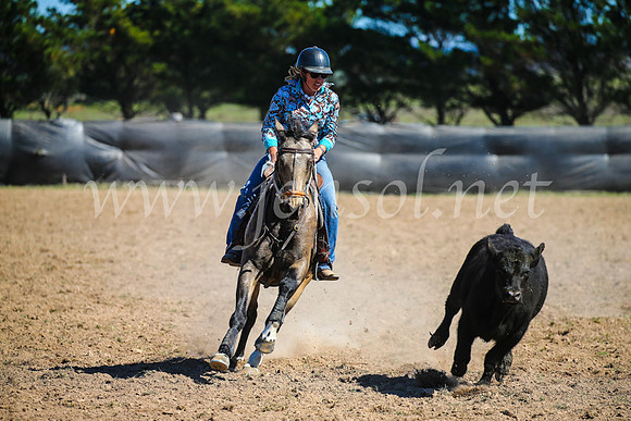 GoulburnCampdraft2017_3210