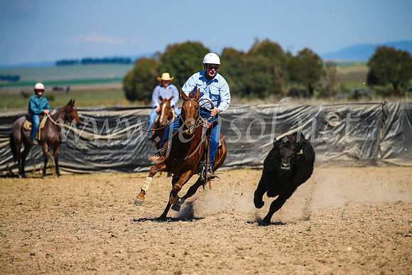 GoulburnCampdraft2017_3082