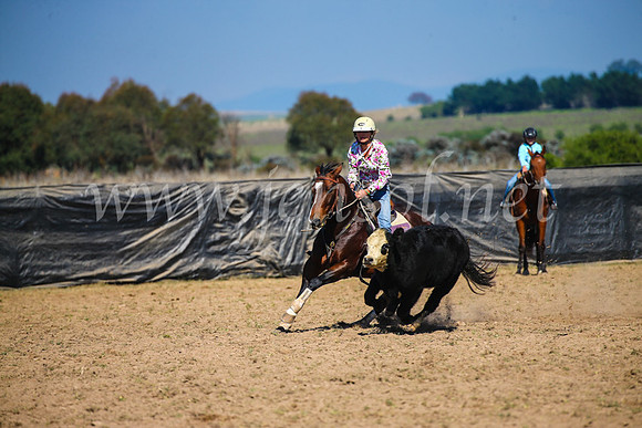 GoulburnCampdraft2017_2779