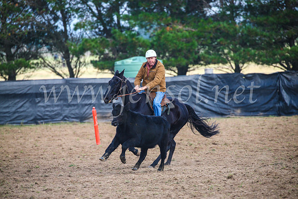 GoulburnCampdraft2017_0300