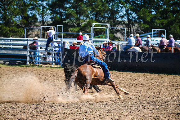GoulburnCampdraft2017_3067
