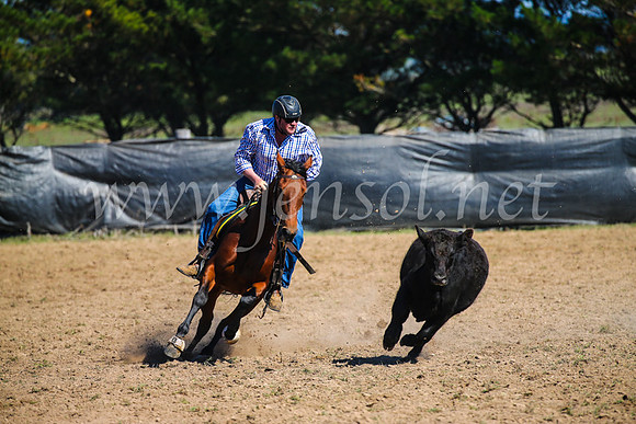 GoulburnCampdraft2017_2957
